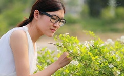 欧美成人无码A区在线观看免费